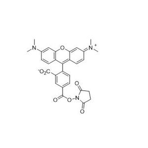 5-羧基四甲基羅丹明琥珀酰亞胺酯   150810-68-7