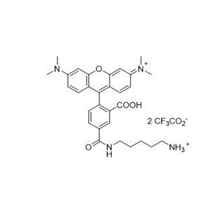 5-羧基四甲基羅丹明尸胺  5-TAMRA cadaverine