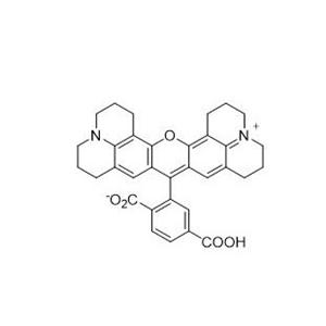 6-羧基-X-羅丹明   194785-18-7
