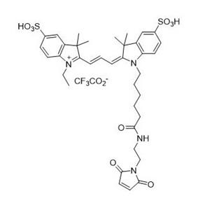 Sulfo-Cy3 馬來酰亞胺   616207-80-8