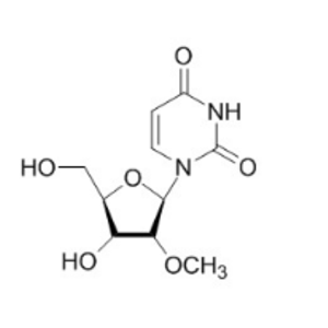 2'-甲氧基尿苷