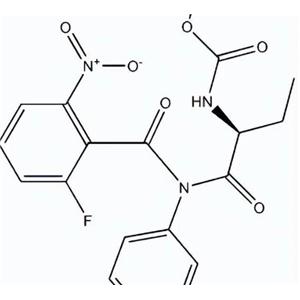 A/B/O型紅細胞定制