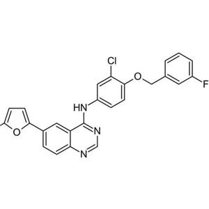 人脈絡膜微血管內皮細胞完全培養(yǎng)基