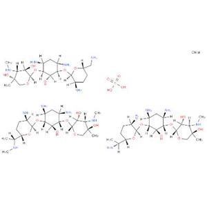 硫酸慶大霉素