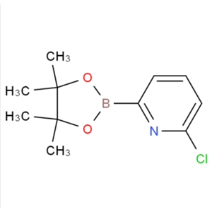 6-氯吡啶-2-硼酸頻哪酯