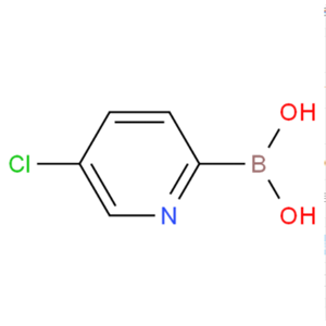 5-氯吡啶-2-硼酸