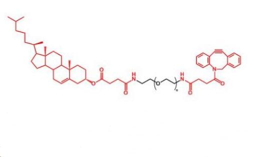 CLS-PEG-DBCO