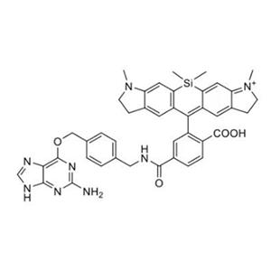 SiR700硅基羅丹明-芐基鳥嘌呤