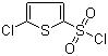 CAS 登錄號：2766-74-7, 5-氯噻吩-2-磺酰氯