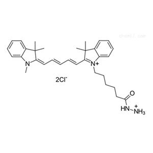 花青素CY5酰肼