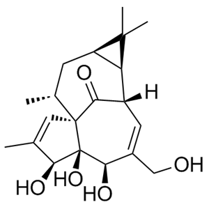 巨大戟醇，30220-46-3，Ingenol，生產(chǎn)廠家現(xiàn)貨直采。