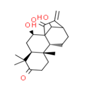 藍(lán)萼甲素，克級，98%