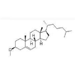 植物源膽固醇純天然植物提取