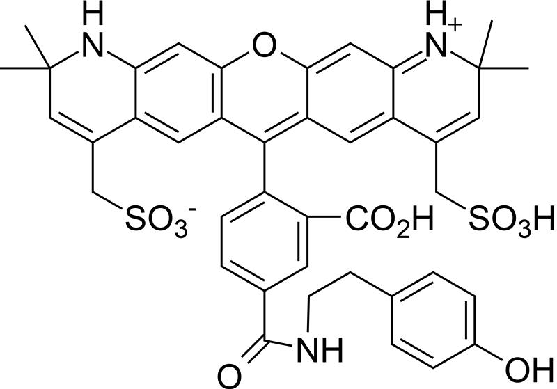 AF568 tyramide.png