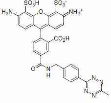 AF488 tetrazine.png