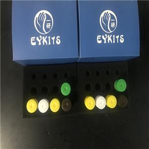 PCR?核酸檢測試劑盒