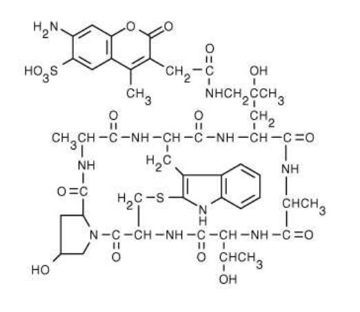 AF350 Phalloidin.png