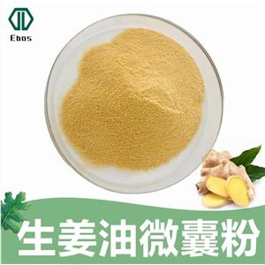 生姜油微囊粉 姜辣素2/10/20% 固體飲料壓片 水溶性生姜油微囊粉