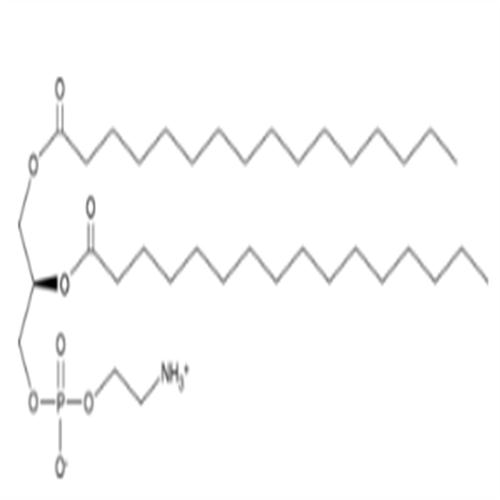 1,2-Dipalmitoyl-sn-glycero-3-PE.png