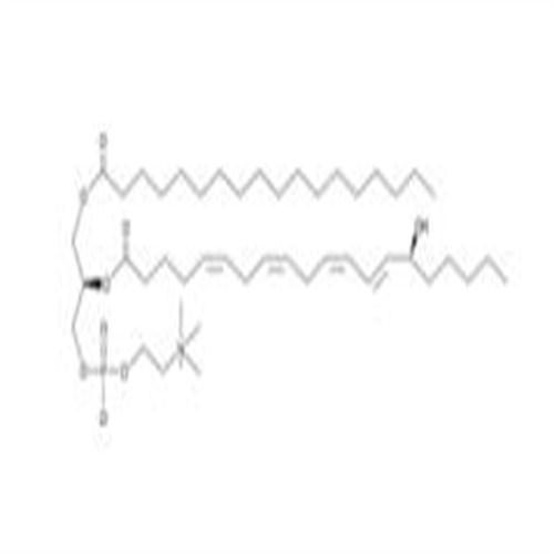 1-Stearoyl-2-15(S)-HETE-sn-glycero-3-PC.jpg