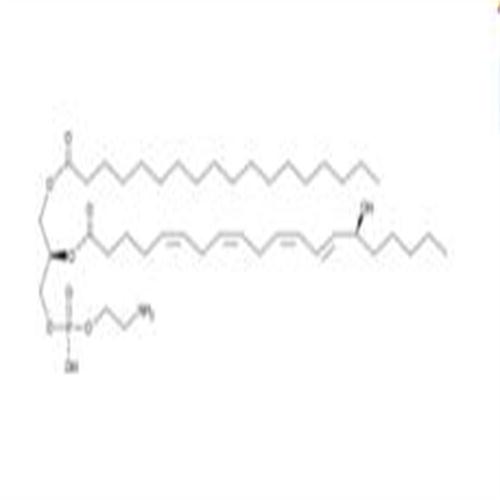 1-Stearoyl-2-15(S)-HETE-sn-glycero-3-PE.jpg