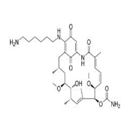 Aminohexylgeldanamycin.jpg