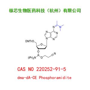 dma-dA-CE Phosphoramidite  工廠大貨