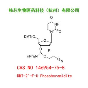 DMT-2'-F-U Phosphoramidite 工廠大貨