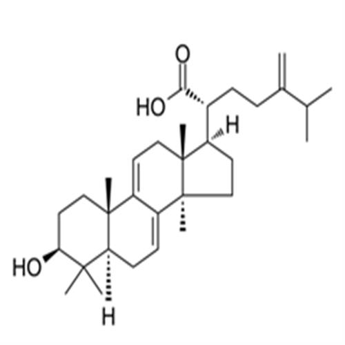 Dehydrotrametenolic acid.png