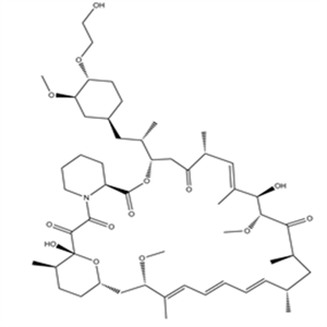 159351-69-6Everolimus (RAD001)