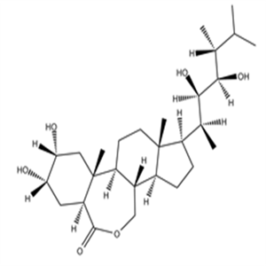 78821-43-9Epibrassinolide