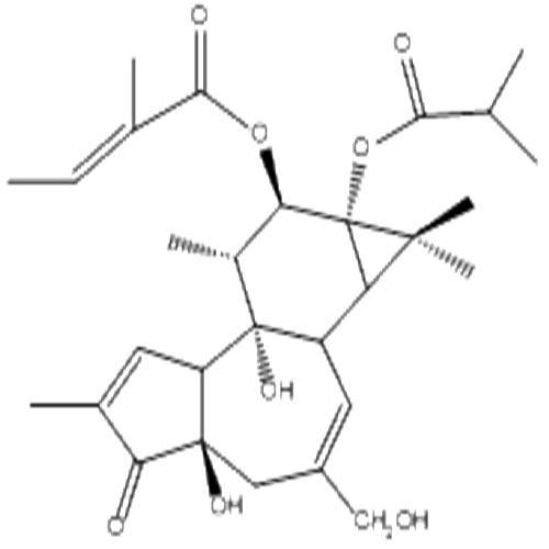 伏波酯-12-惕各酸酯-13-異丁酸酯.jpg