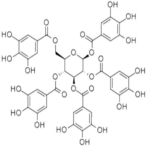 1,2,3,4,6-五沒食子酰葡萄糖.jpg