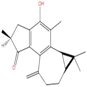 麻楓樹(shù)酚酮B