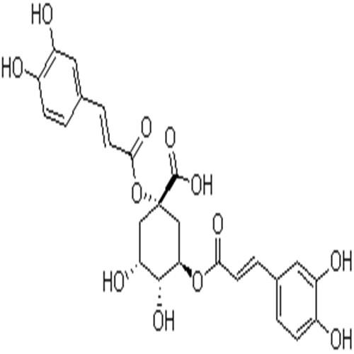 1,3-二咖啡酰奎寧酸.jpg