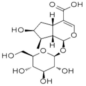 馬錢苷酸