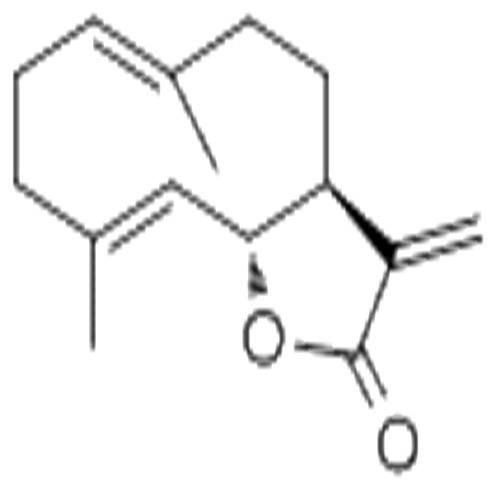 木香烴內(nèi)酯.jpg