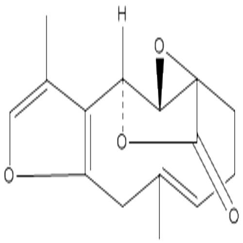 烏藥醚內酯.jpg