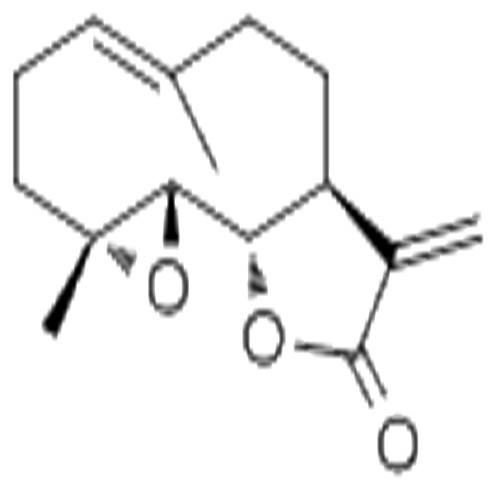 小白菊內(nèi)酯.jpg