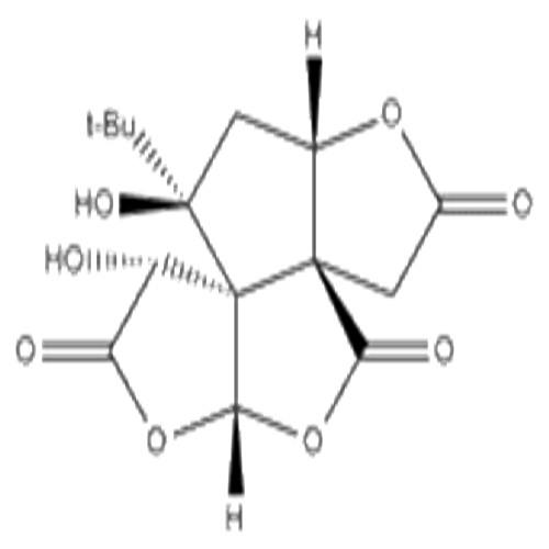 白果內(nèi)酯.jpg