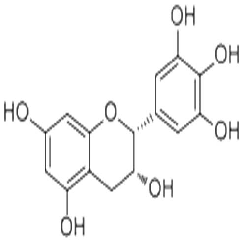 表沒(méi)食子兒茶素.jpg