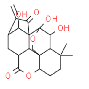 毛栲利素，98%