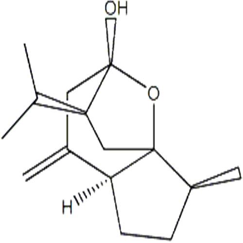 莪術(shù)醇.jpg