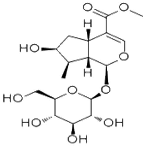 馬錢苷.jpg