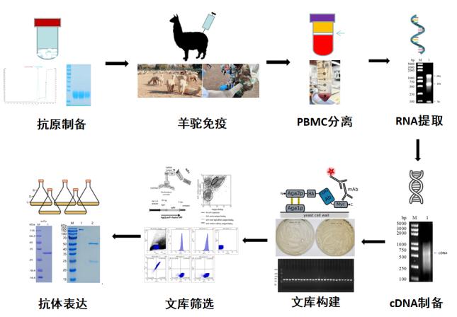 企業(yè)微信截圖_16697909976943.png