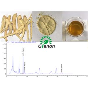 人參皂苷 Rg3 5-90%HPLC