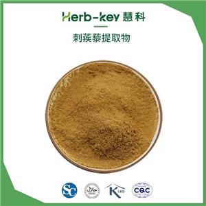 陜西慧科工廠現(xiàn)貨 刺蒺藜提取物  刺蒺藜皂甙40%