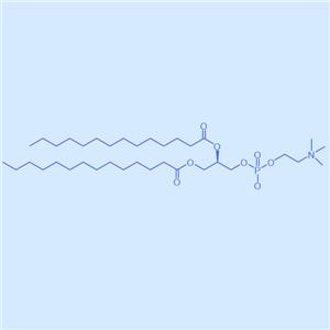 1,2-二肉豆蔻酰-sn-甘油-3-磷酸膽堿,DMPC,18194-24-6