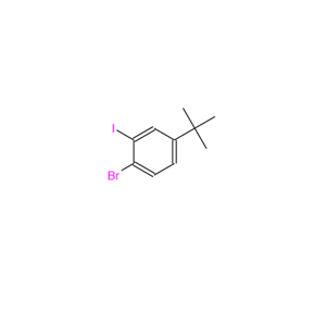 1-溴-4-叔丁基-2-碘 - 苯