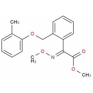 農(nóng)藥殺菌劑醚菌酯CAS 143390-89-0